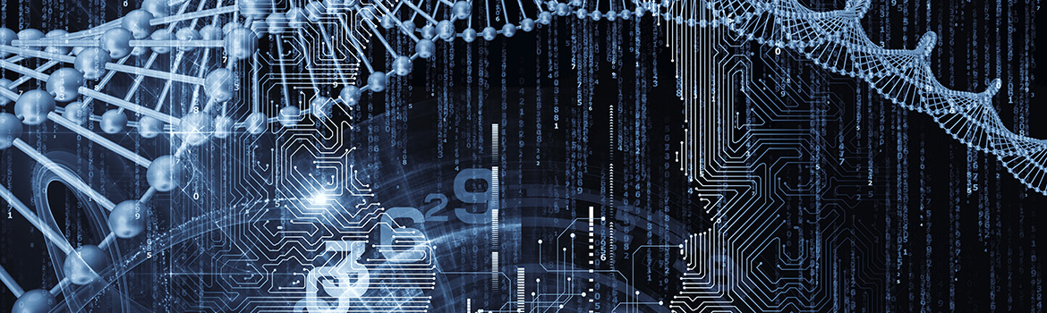 Mestrado Profissional em Pesquisa Operacional e Inteligência Computacional
